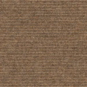 tretford Interland - 2020211571 571 - Sahara