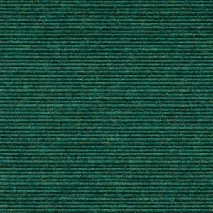 tretford Interland - 2020211558 558 - Opal