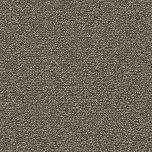 DAS/TEPPICH/WERK Fascination, Lyrica - 101384A400 5X81