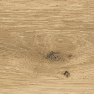 Ziro Vinylan, Vinylan object HDF - 026015081 Traubeneiche