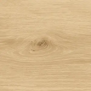 Ziro Vinylan, Vinylan object HDF - 026015080 Goldeiche